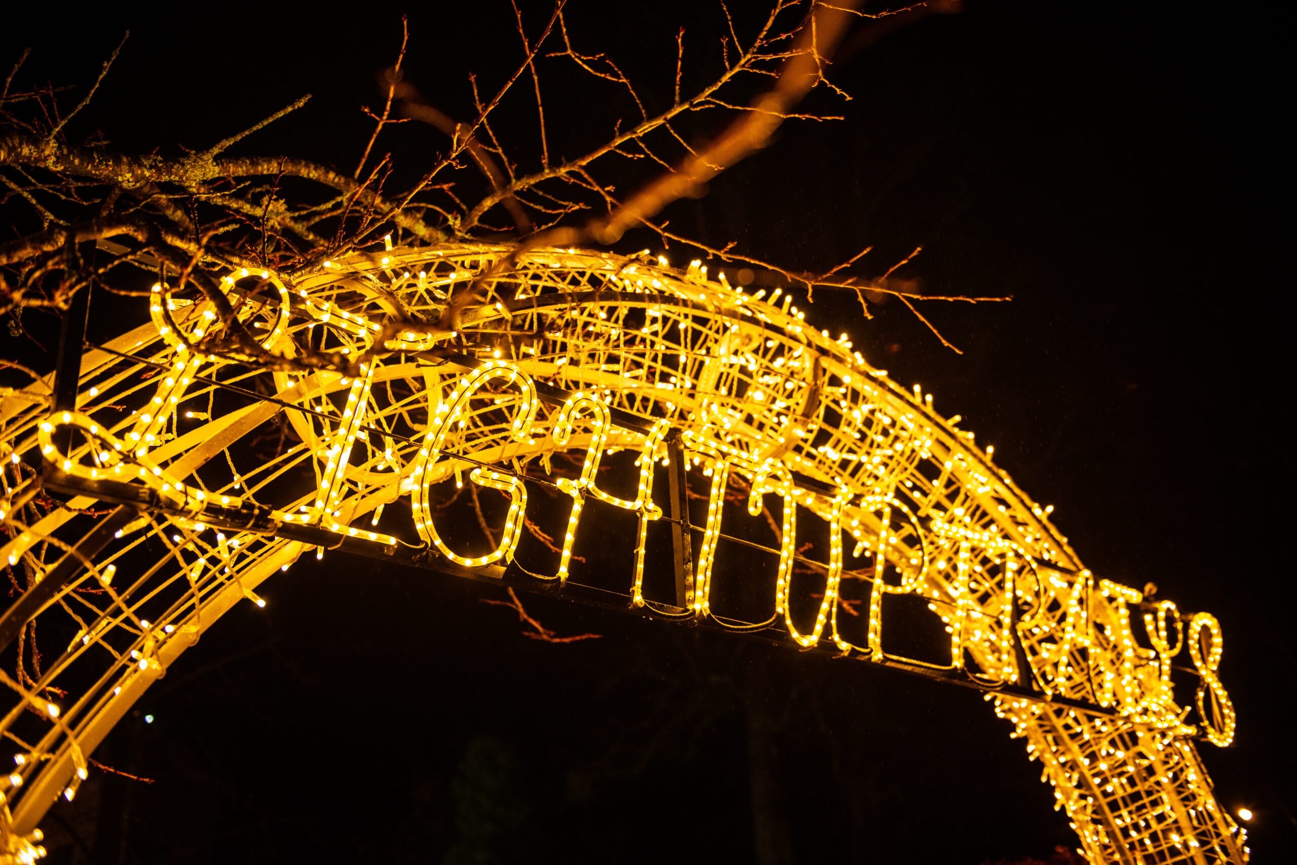 Inspiring Future Physicists at Light Up Trails