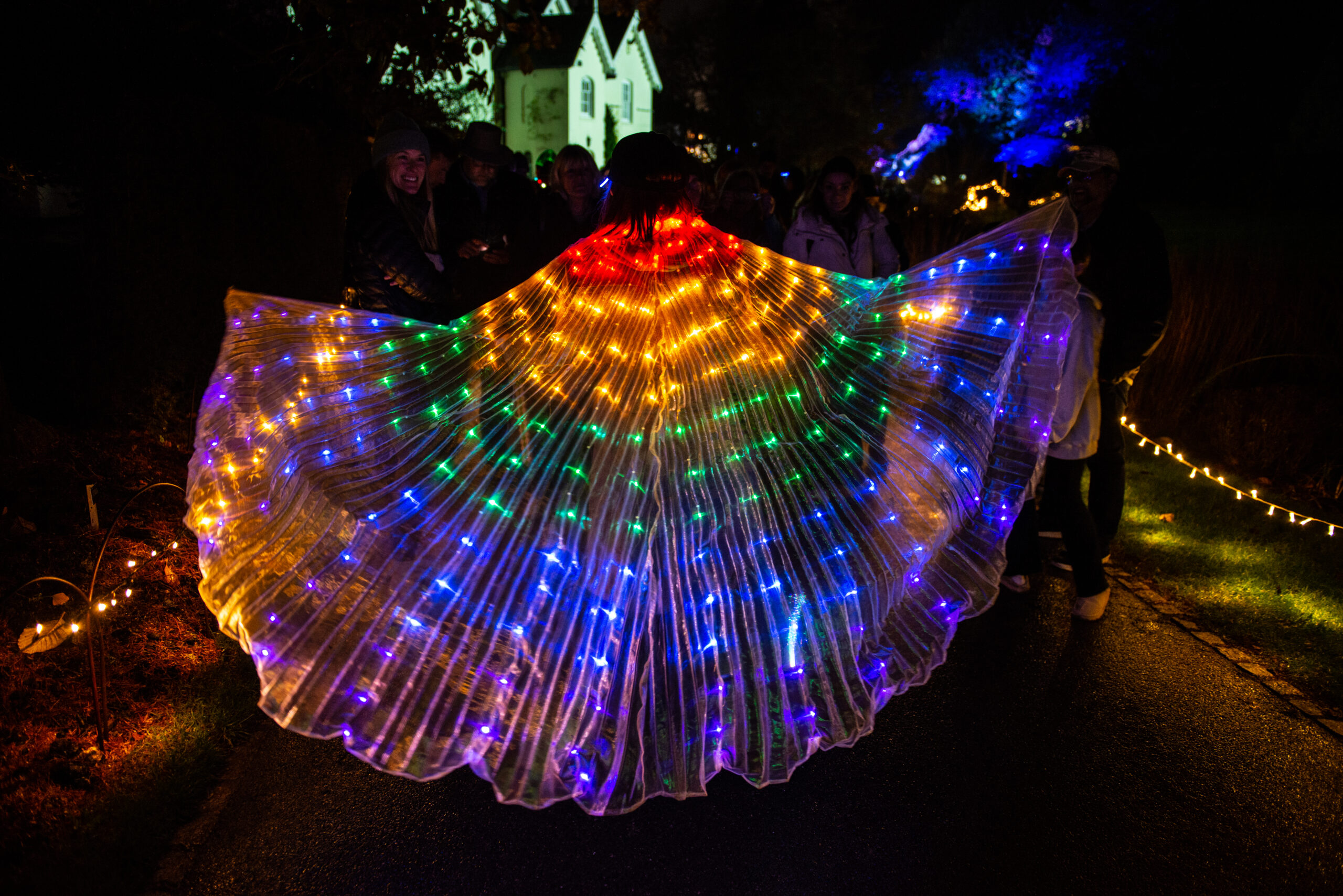 Why the International Day of Light Matters More Than Ever!